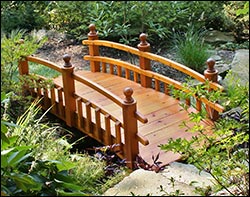 Red Cedar Bridges